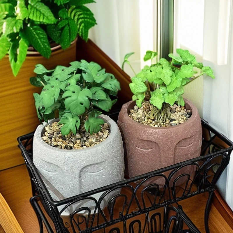 HIM-AP003人脸水泥盆绿植2pack库存尾货（七楼）2260