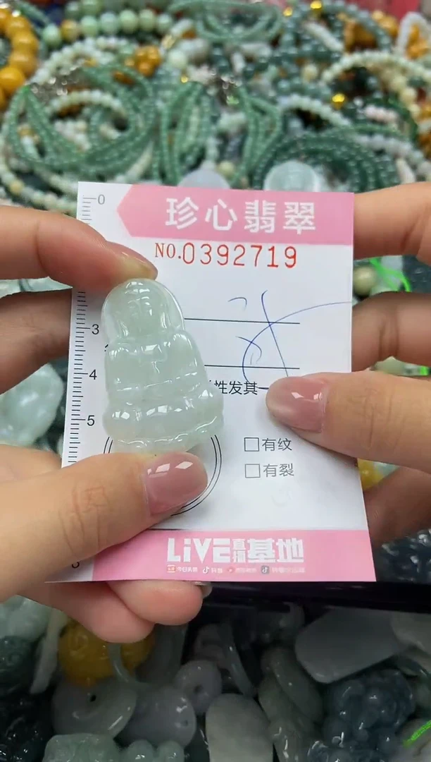 颈饰未镶嵌翡翠闪购0392719
