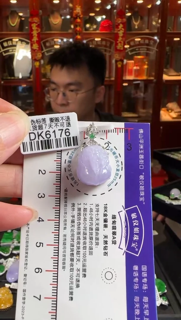 颈饰18K金镶嵌翡翠DK6176 紫貔貅