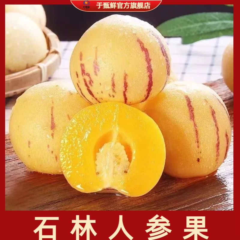 【于甄鲜选】正宗云南石林人参果树熟黄肉圆果老品种更香甜3-5斤