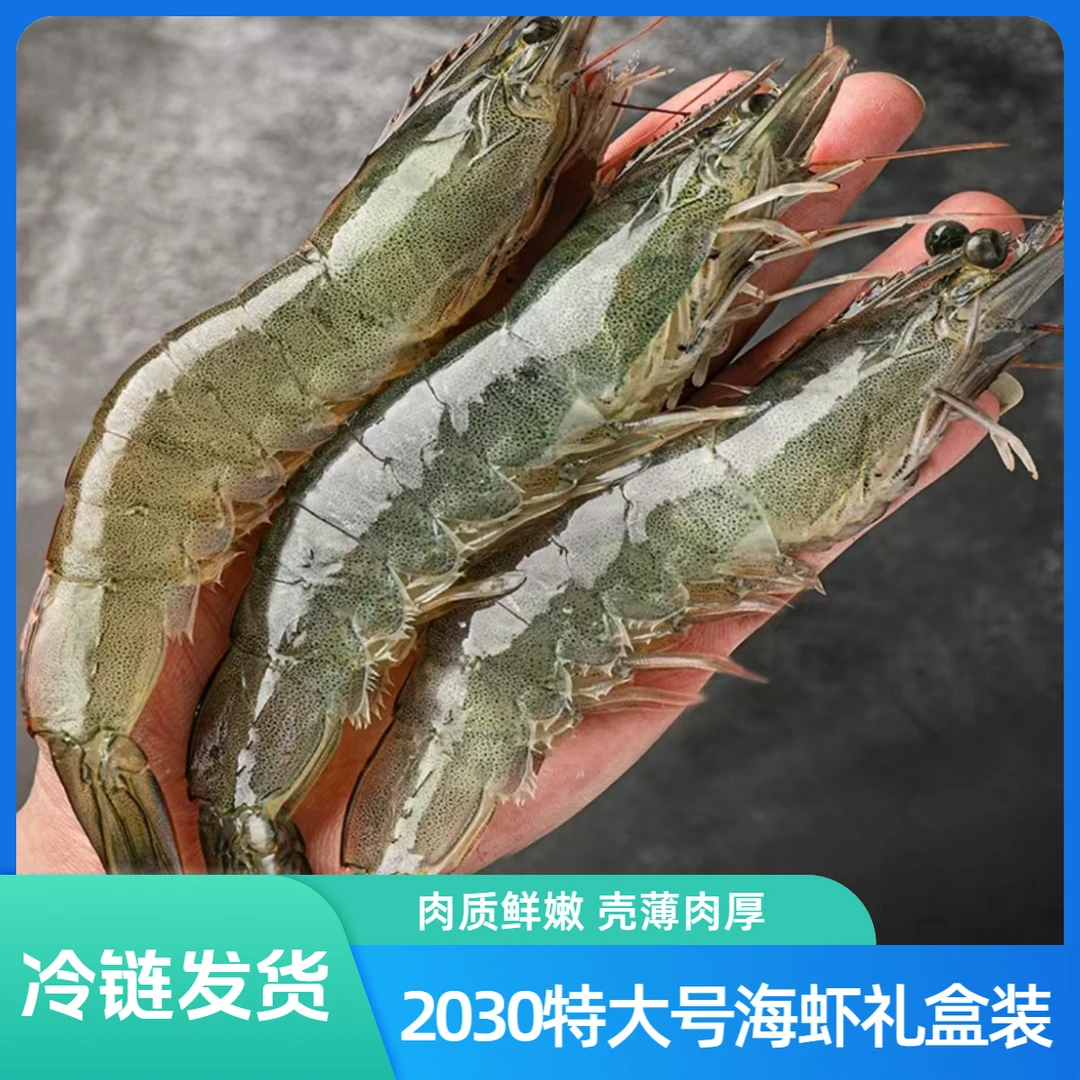 +【2030规格 特大号A级海虾】16-18cm左右 35-45只左右 3斤/盒 盐冻