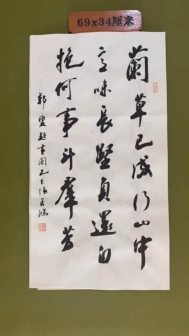 书法书法 张若鸿尺寸69cm*34cm