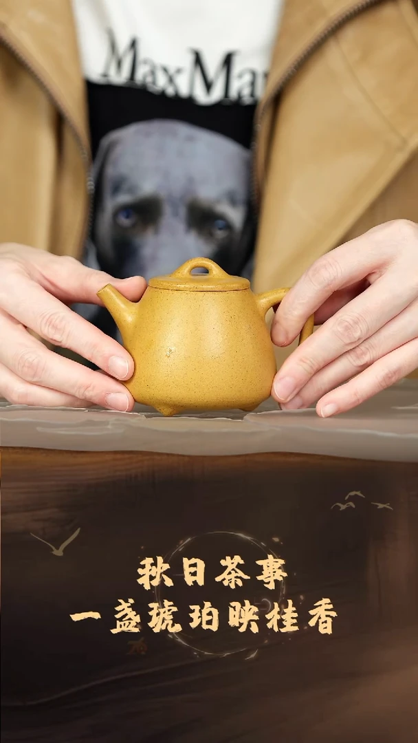 一***年宜兴紫砂  黄金段 全手 高石瓢