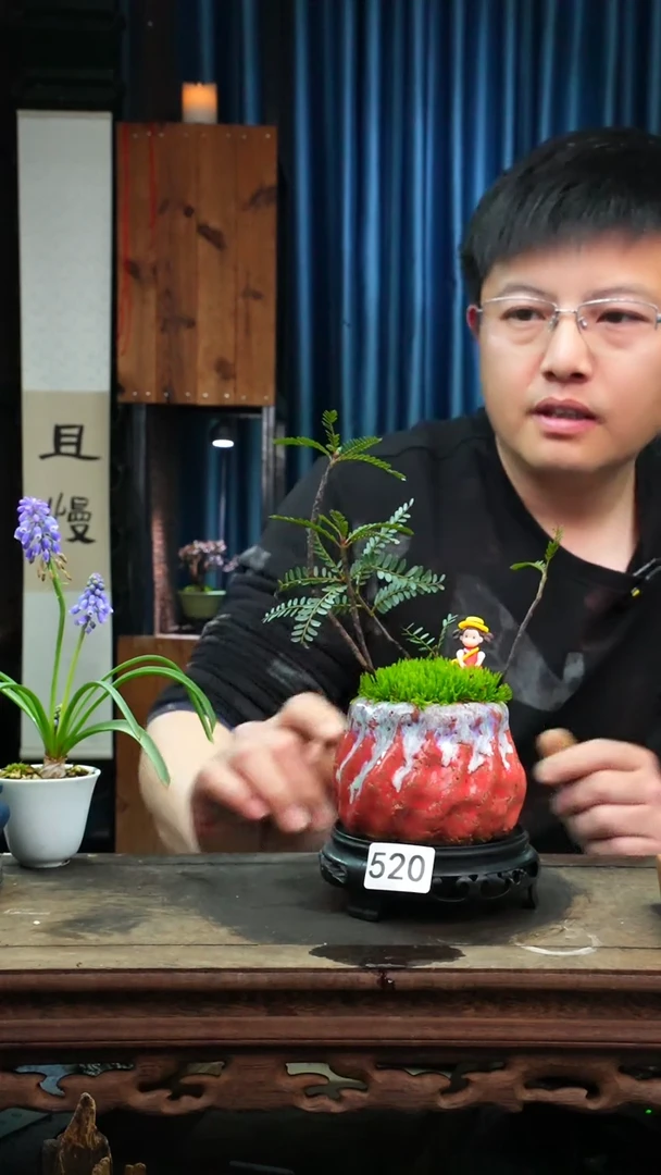 【闪购商品】苔藓微景观520号