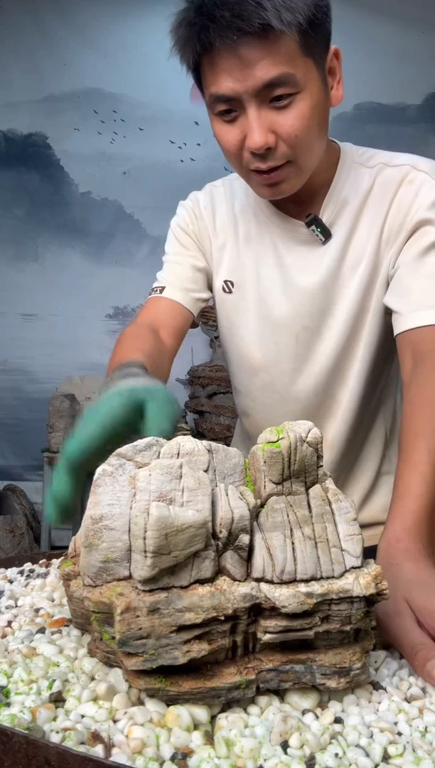 直播一物一拍链接