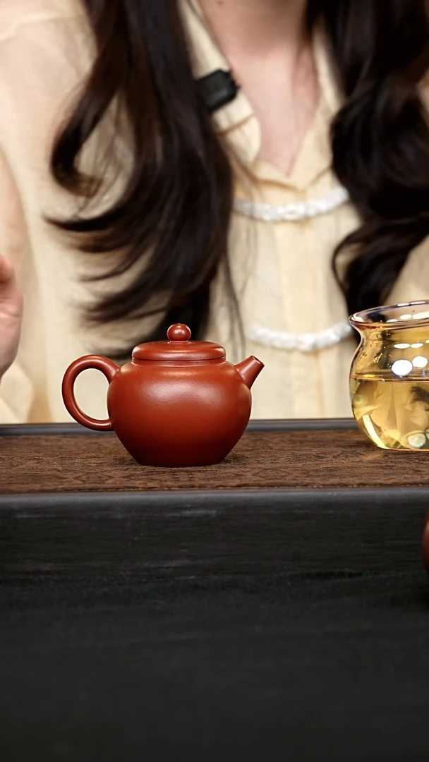 茶壶紫砂巨轮珠 一物见春