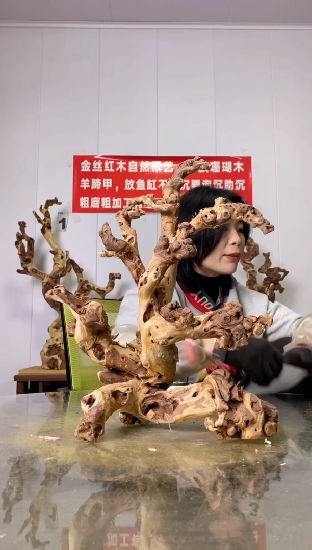 【闪购商品】木30金丝红木 羊蹄甲