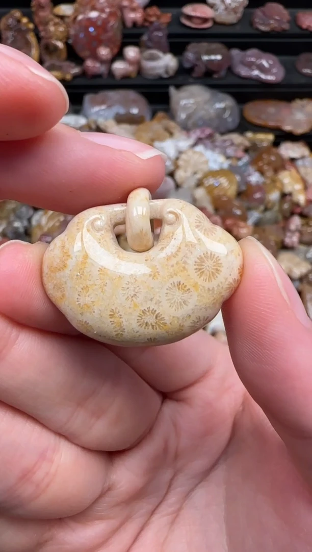 颈饰未镶嵌硅化珊瑚（珊瑚玉）734