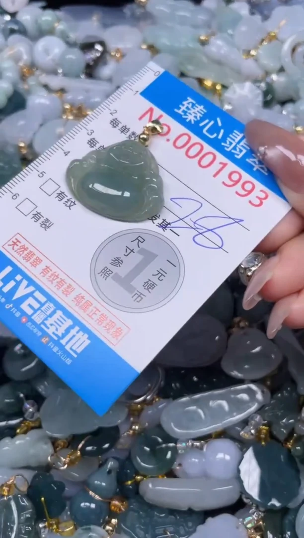 颈饰未镶嵌翡翠1993