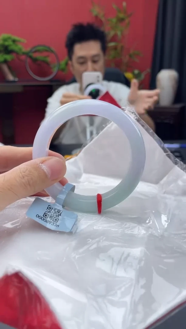 未镶嵌手镯翡翠2