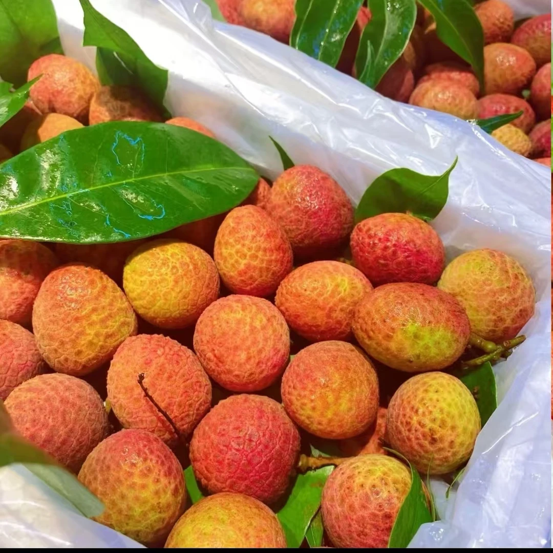 【桂花香荔枝】海南桂花香荔枝新鲜荔枝新鲜水果应季水果包邮GG
