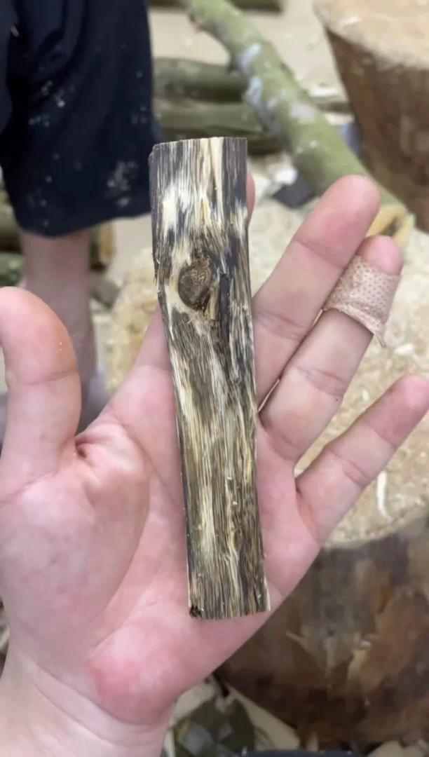 沉香沉香碎屑棋楠沉香 原料文创1