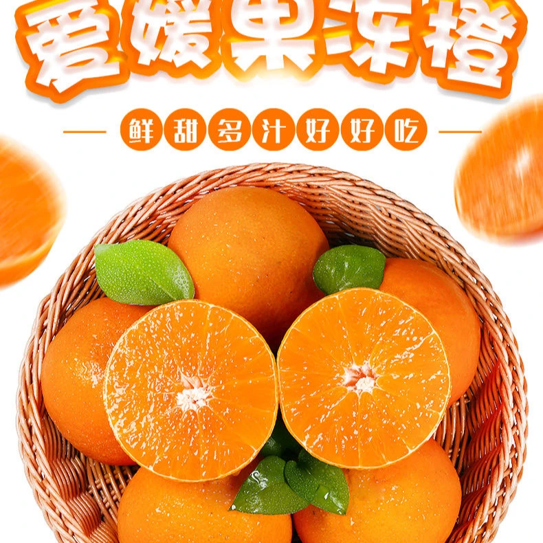 爱媛果冻橙新鲜采摘产地直发