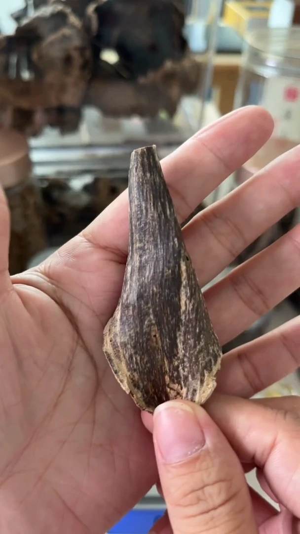 沉香海南天然壳子料熏香料1.6克