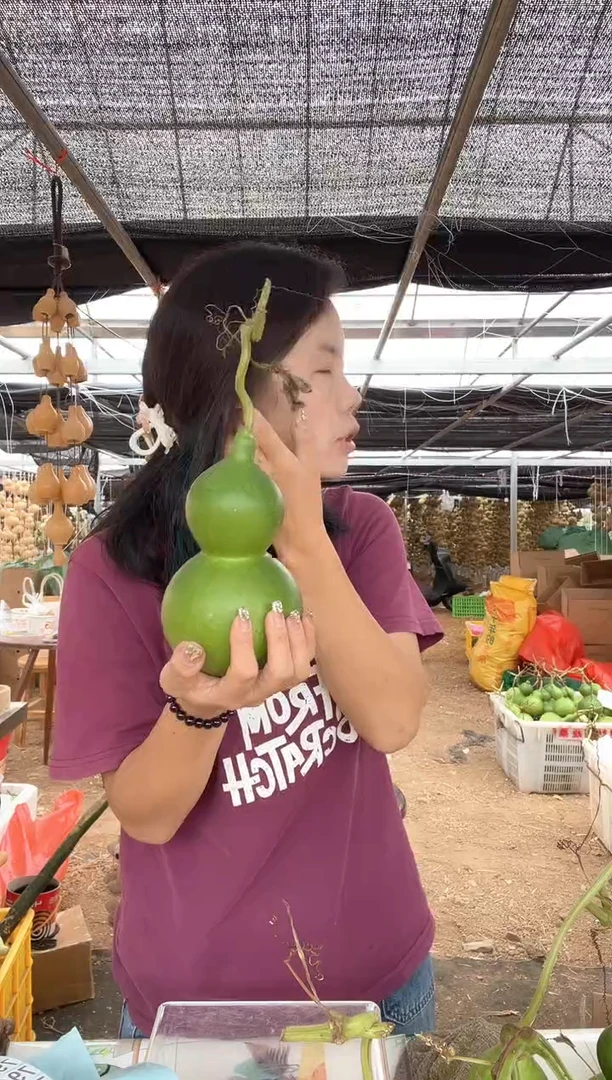 791天然葫芦摆件 一物一拍龙头不保售后