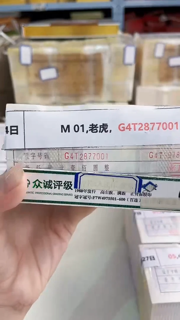 M 01,老虎，G4T2877001