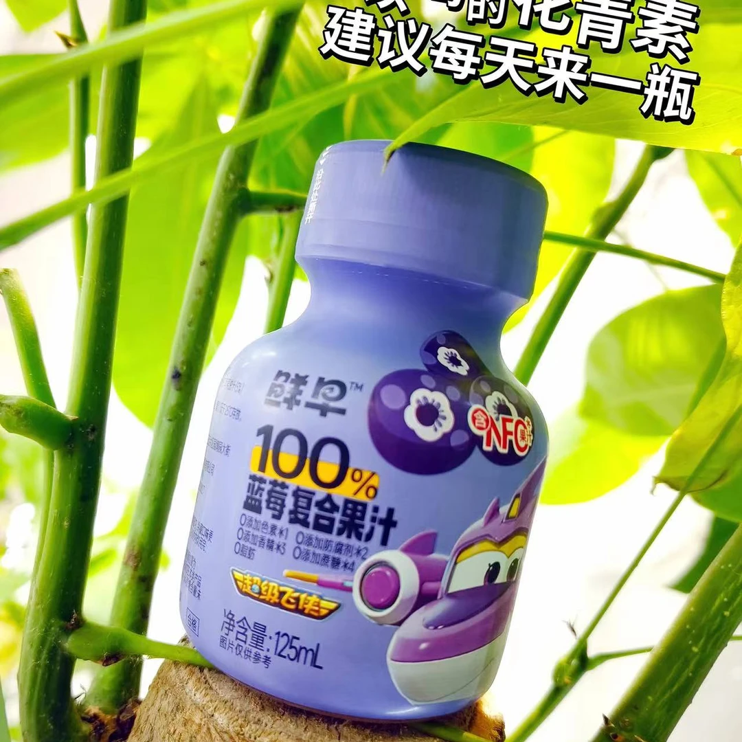 鲜早100%蓝莓复合果汁零添加东北