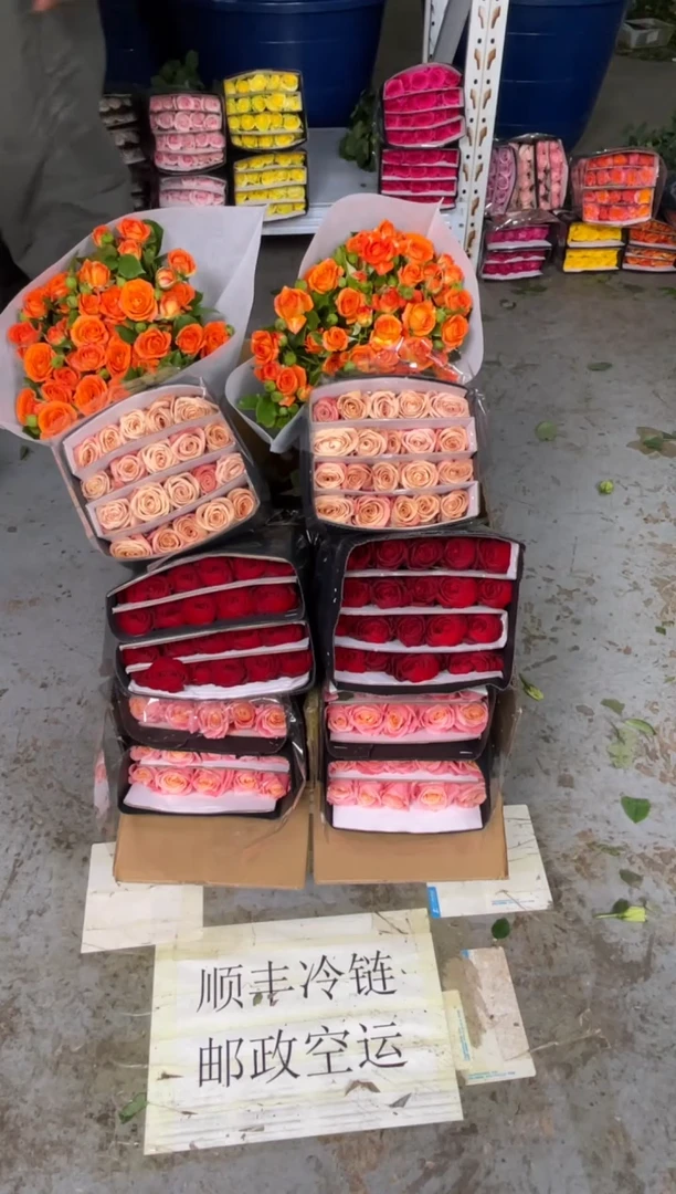 朱小姐20枝+高原红20枝+卡布20枝+橙色芭比10枝