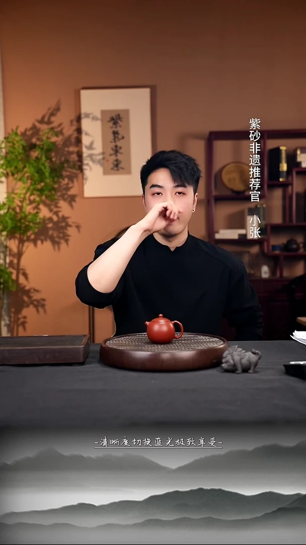 茶壶紫砂8 西施手工紫砂壶