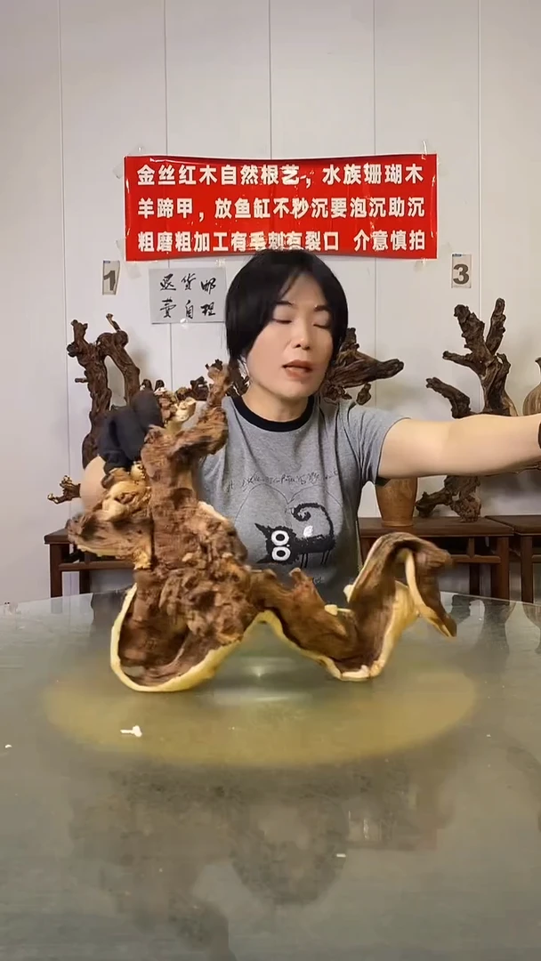 香榧木燕**意金丝红木   羊蹄甲