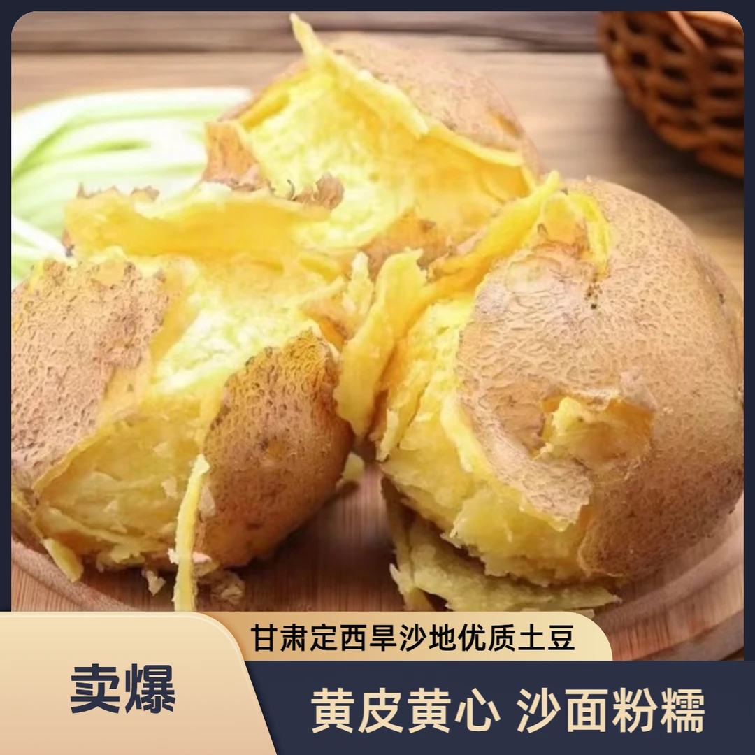 甘肃定西黄心土豆口感沙软饱腹耐存农家新鲜现挖产地直发代餐推荐