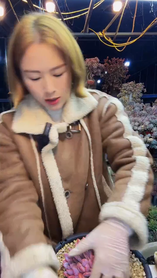 嫦娥缀脱土包邮...