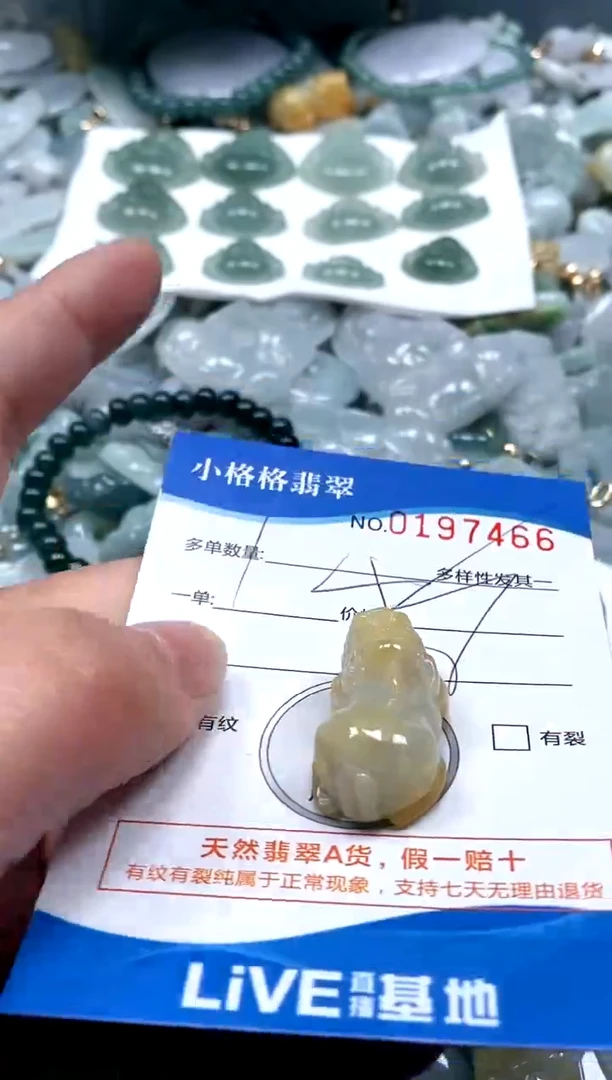 【闪购商品】翡翠颈饰未镶嵌闪购商品0197464
