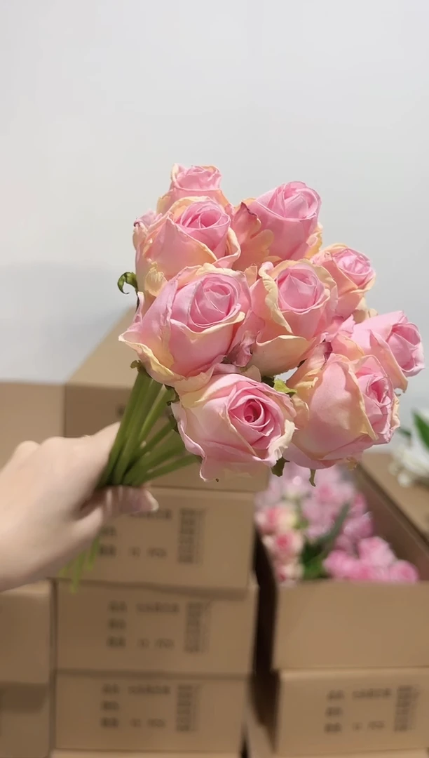 10枝粉色焦边泡泡