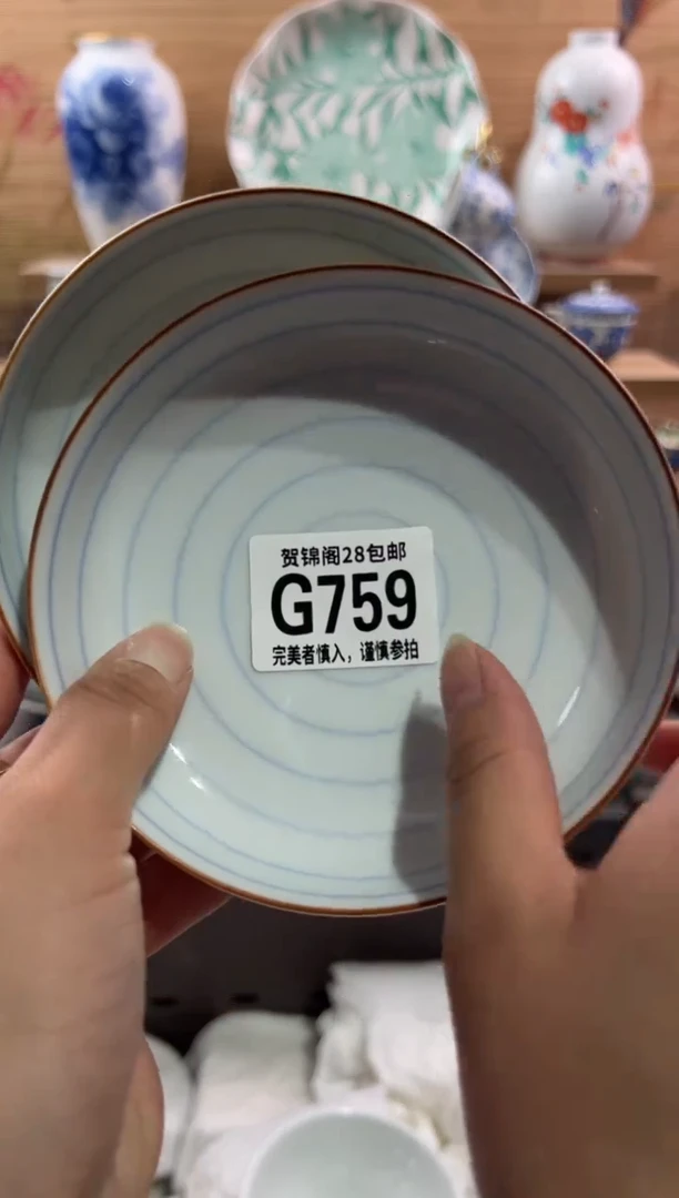 瓷片猫        G759