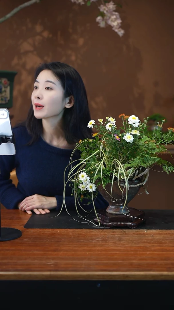 全部花朵山野草盆景盆景盆景