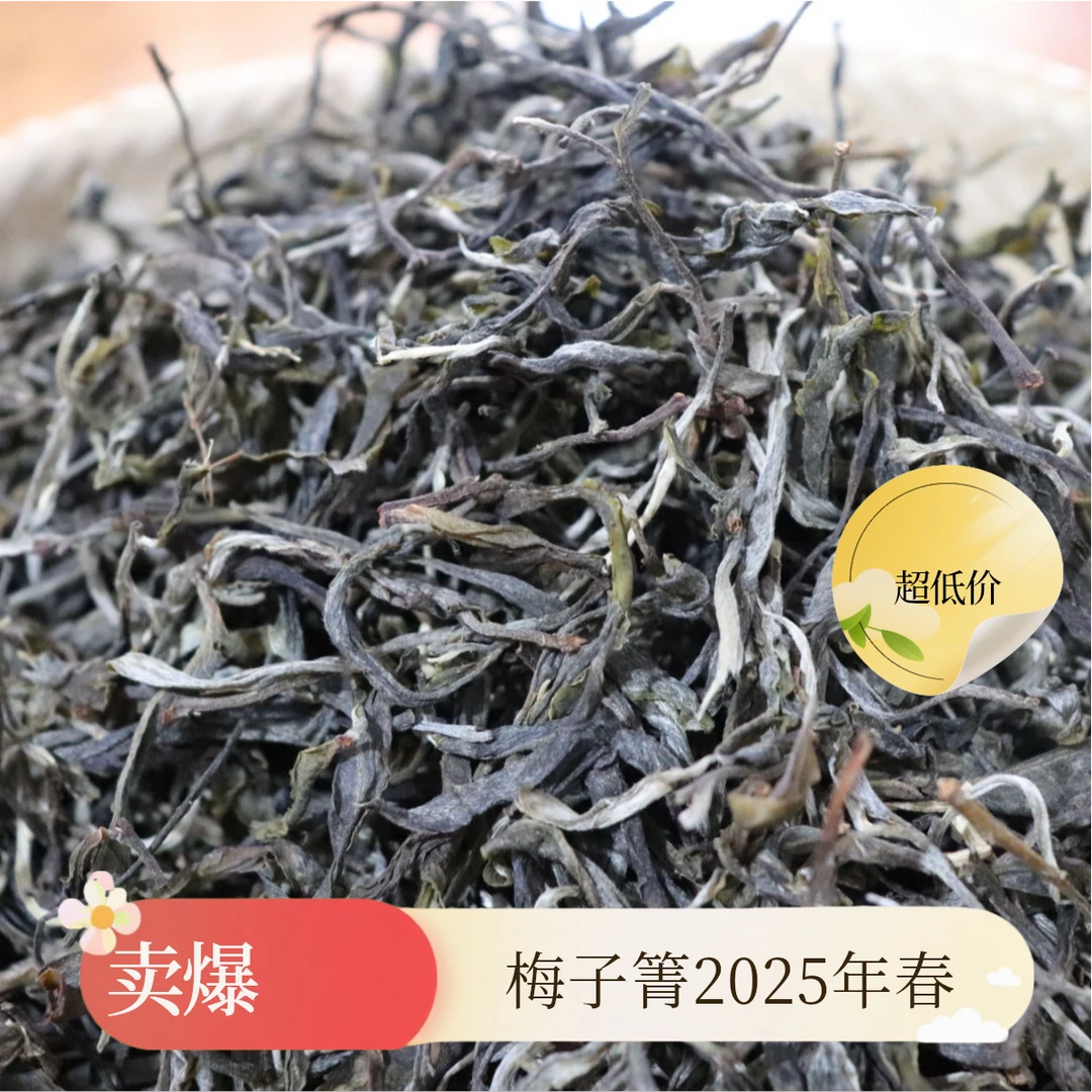 2025年梅子箐古树春茶生茶散茶口感醇厚梅子香古树纯料包装精美