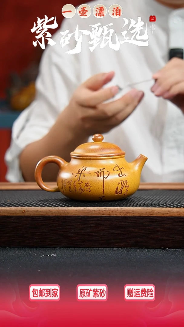茶壶紫砂 一壶漂泊紫砂茶器5013