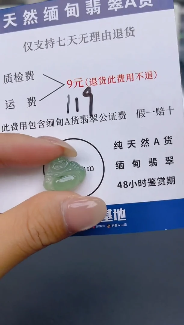 颈饰未镶嵌翡翠纯天然缅甸翡翠A货