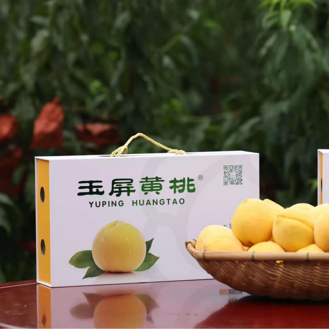 【顺丰/京东贵州省内包邮】玉屏锦绣黄桃精装8个脆甜多汁新鲜水果