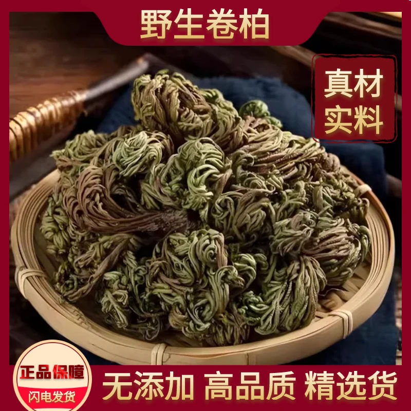 卷柏中药材野生高含量九死还魂草小叶卷柏草还阳草不死草石中草药