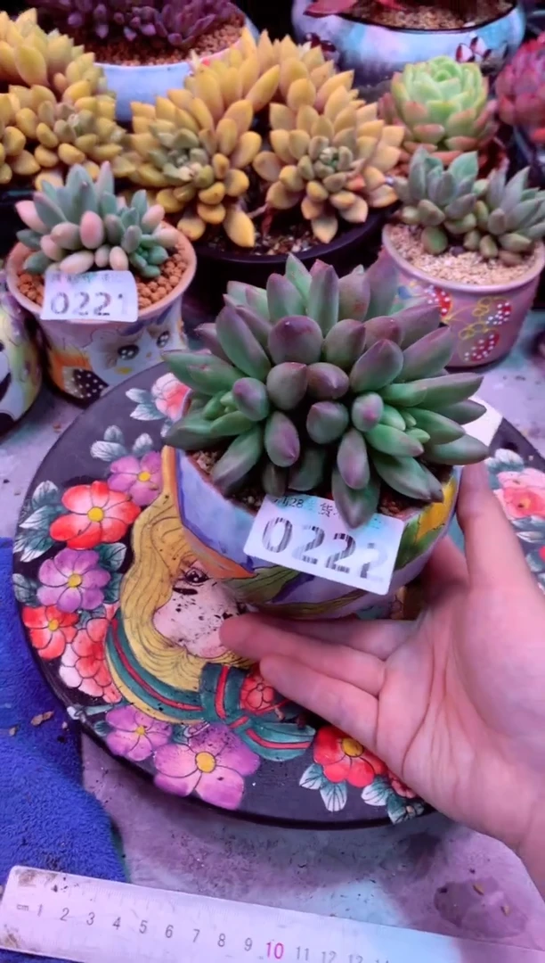 0222满28发货非偏远