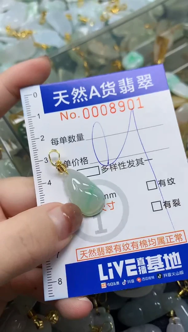 颈饰未镶嵌翡翠N***✨天然A货翡翠
