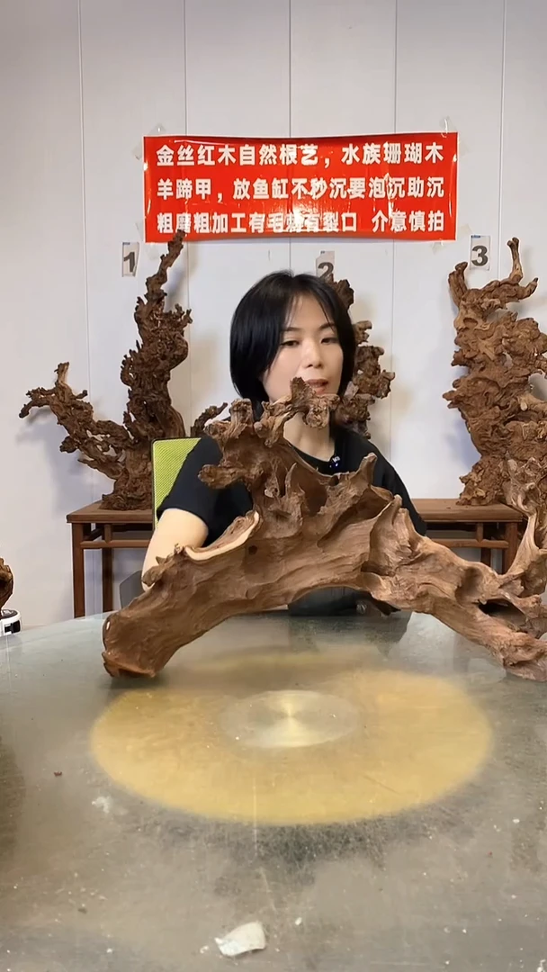 香榧木弘**业金丝红木   羊蹄甲