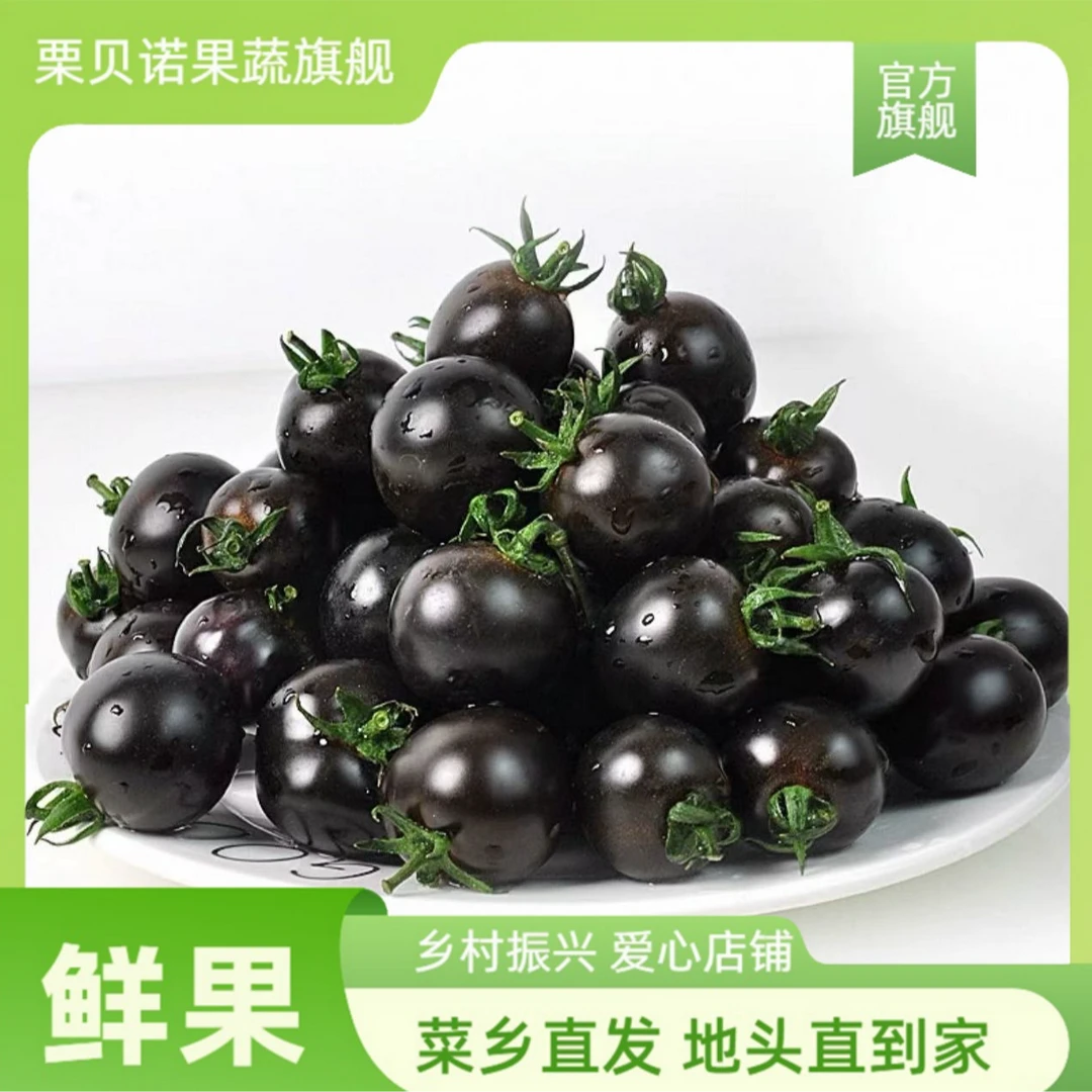 山东寿光黑紫色蓝莓小番茄现摘黑玫瑰圣女果生吃花青素水果