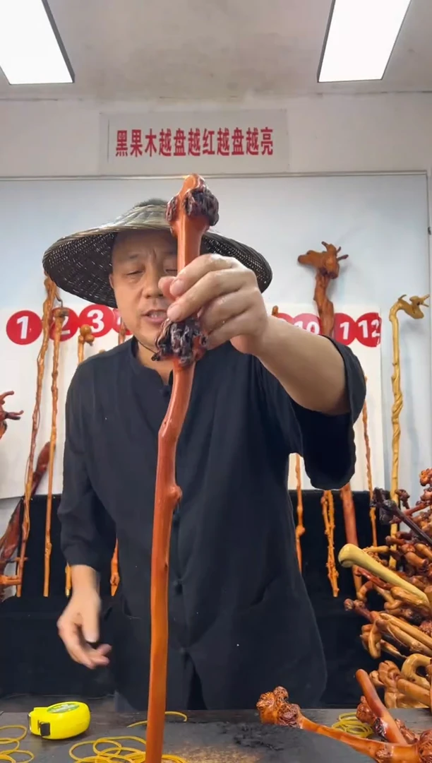 黑果木其他黑果木513