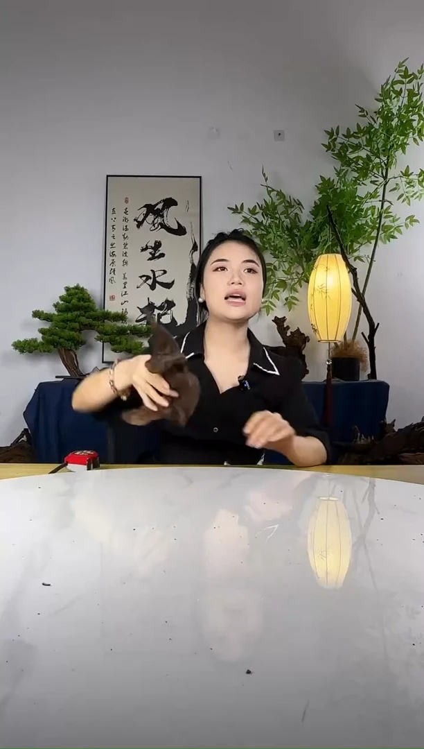 多****理拍这个定向编号81