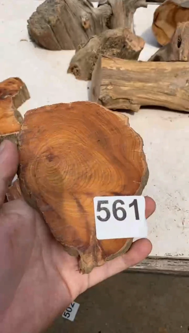 柏木（崖柏）太行陈化崖柏切片一块（津诚林）561