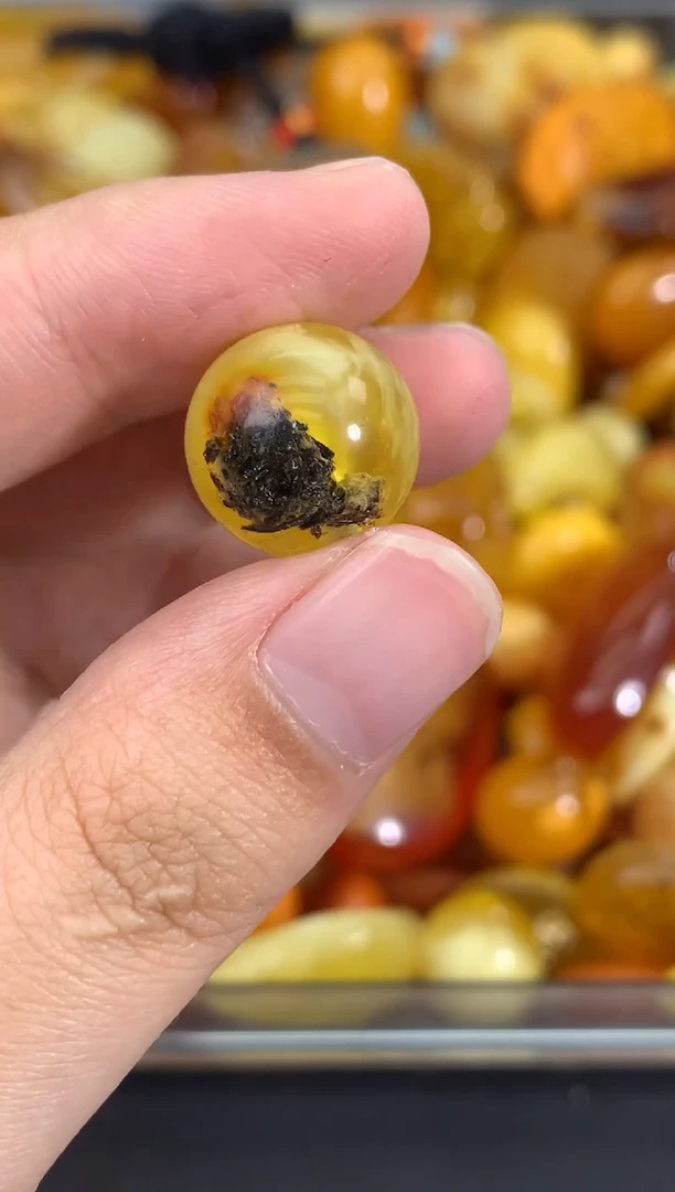 蜜蜡未镶嵌珠宝奇石5