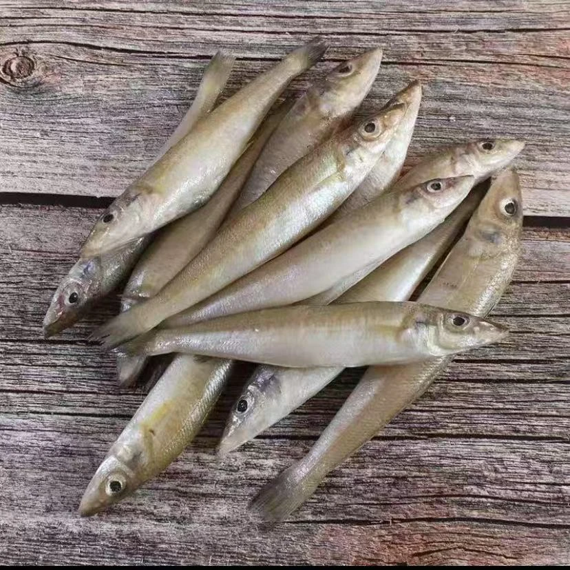 2野生海捕沙丁鱼/沙尖鱼(每斤18条左右)鲜鱼速冻锁鲜发货 4斤