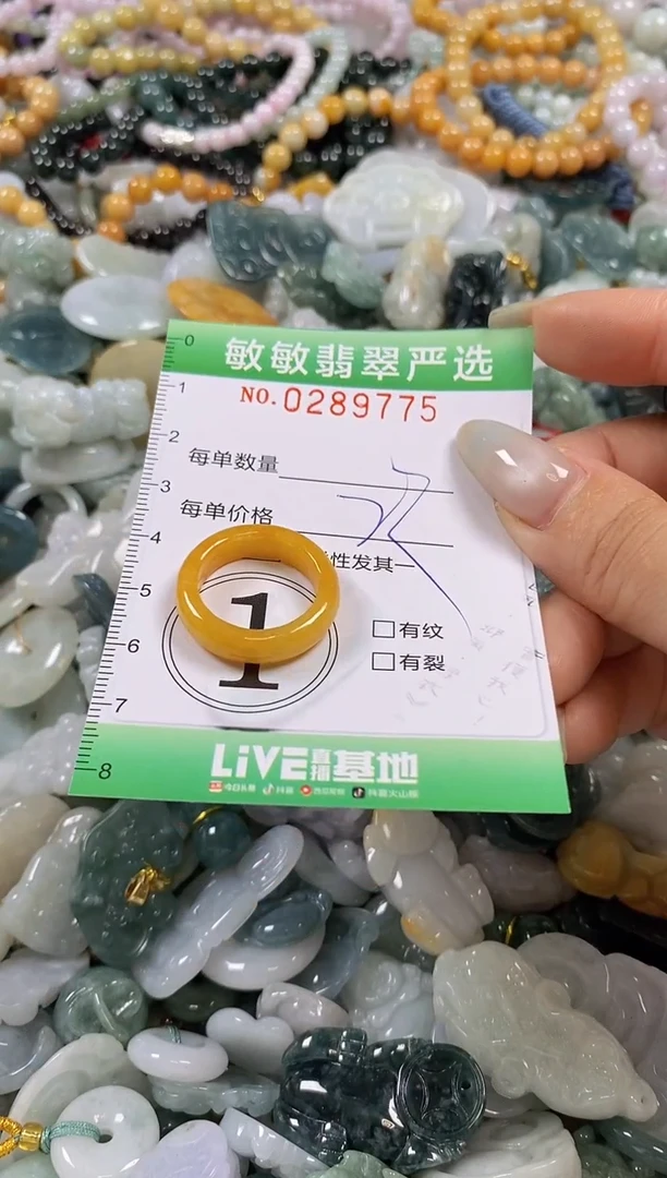 翡翠未镶嵌颈饰闪购0289775