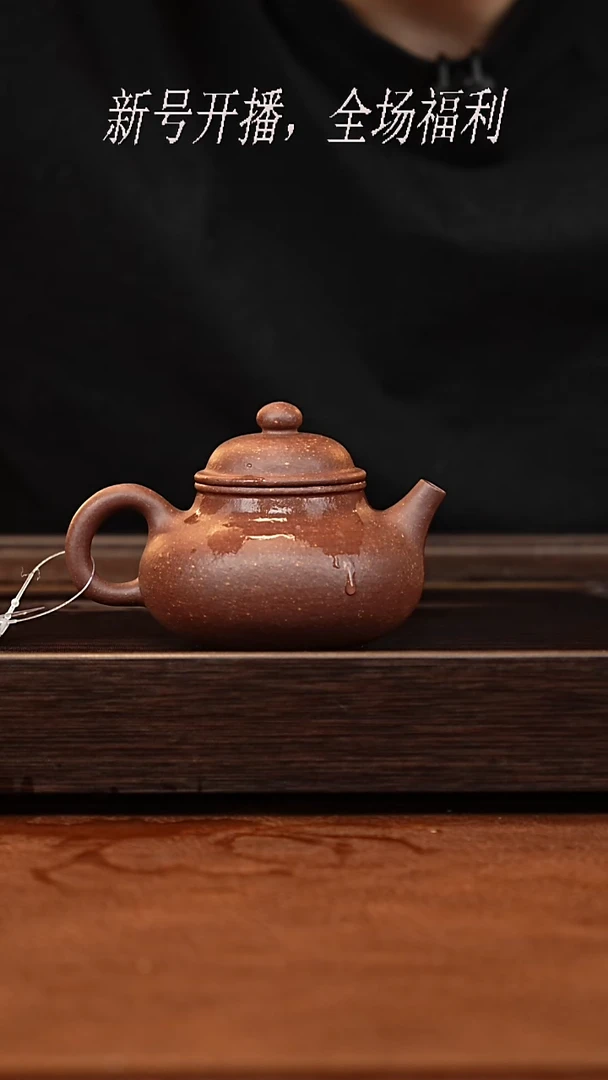 茶壶紫砂21y11紫泥容天