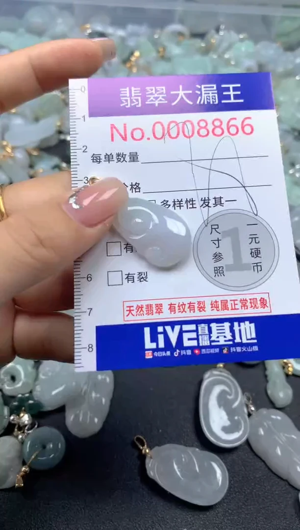 颈饰未镶嵌翡翠8866