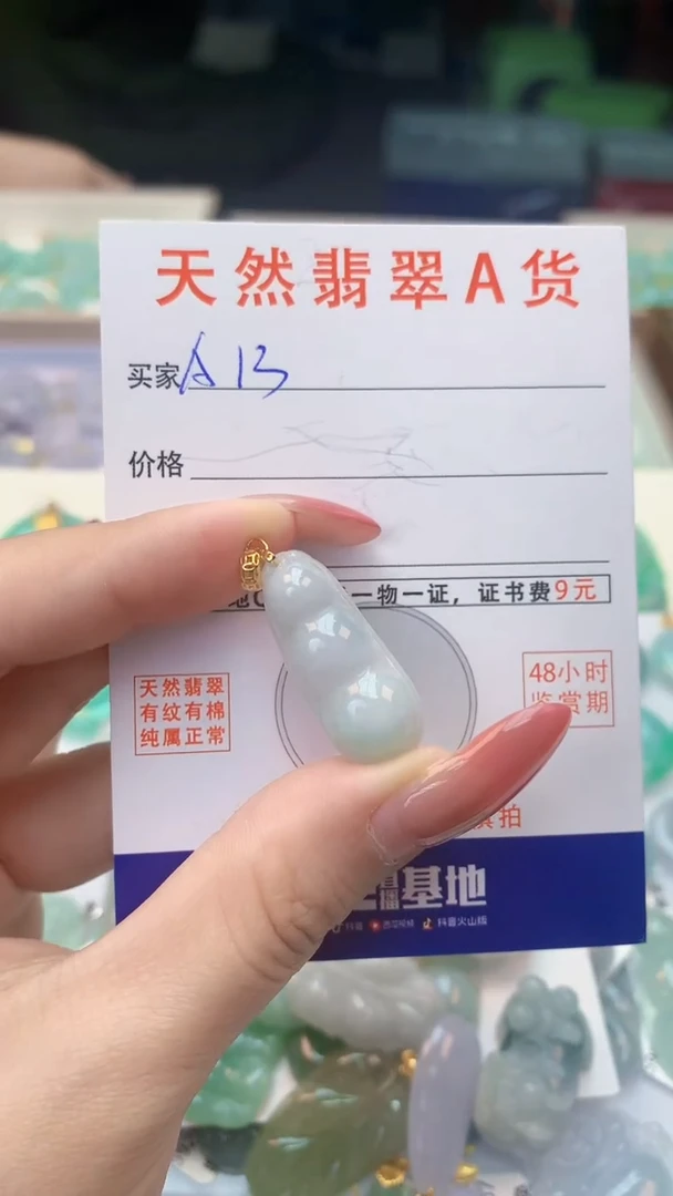 颈饰未镶嵌翡翠天然A货翡翠挂件