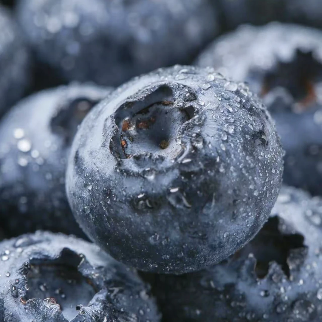 【明天到】云南蓝莓水果现摘现发脆甜可口巨无霸果王24mm/22mm/18mm125克新鲜云南蓝莓云南省玉溪市