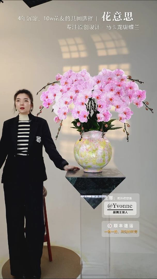 全部花朵015一物一拍蝴蝶兰艺术盆景